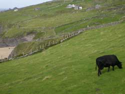 Ireland Trip 2012